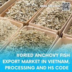 DRIED ANCHOVY FISH EXPORT IN VIETNAM, PROCESSING AND HS CODE
